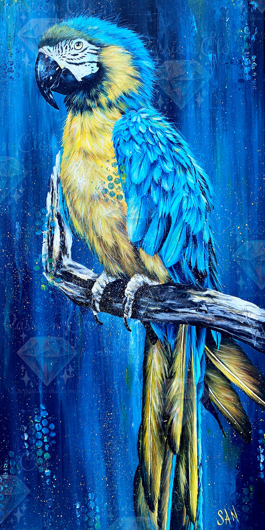 PRE-ORDER - The wise feline - 60 x 80 cm